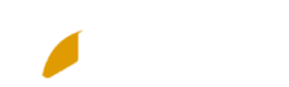 TRANSPORTS & CO Logo